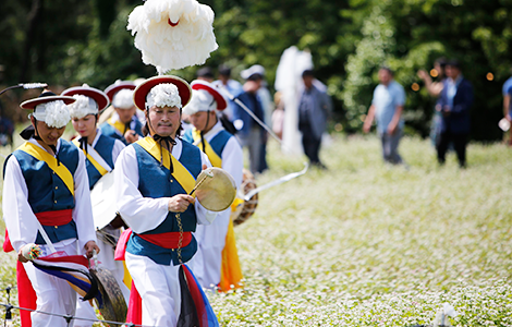 광평리 제주메밀축제