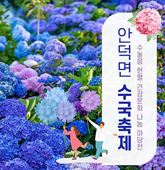 안덕면 수국축제