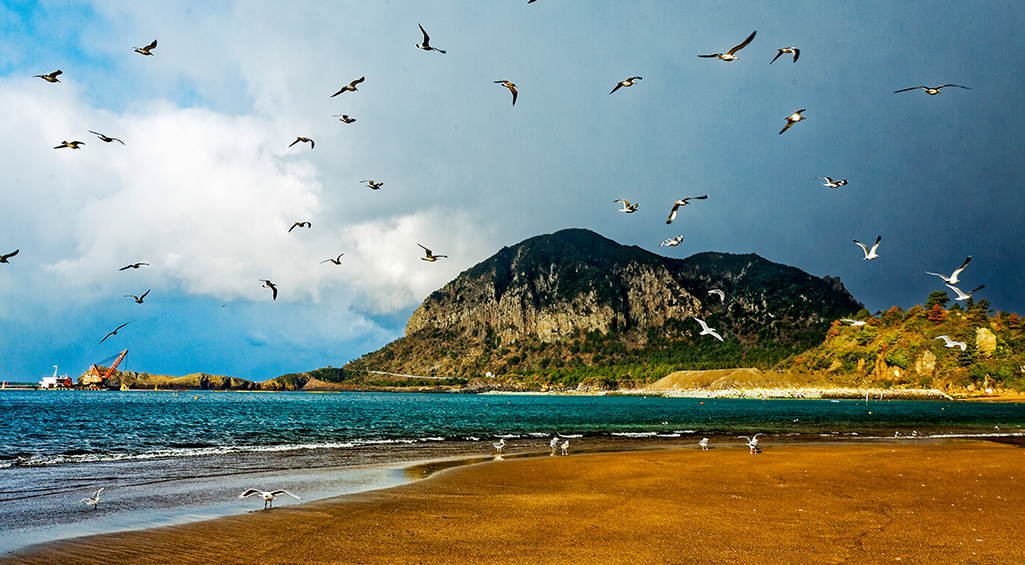 화순금모래해수욕장
