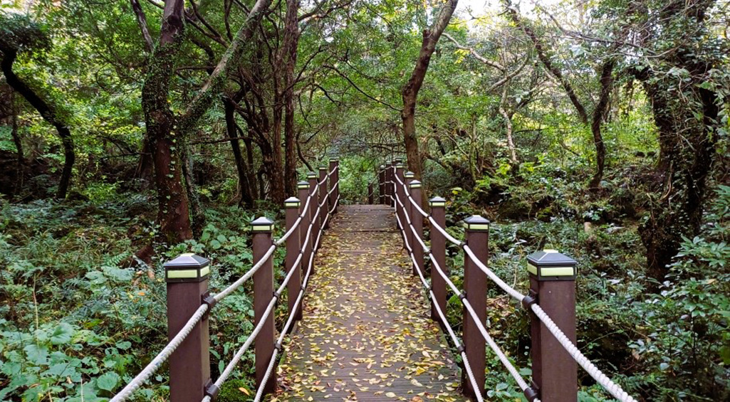 화순곶자왈생태탐방숲길